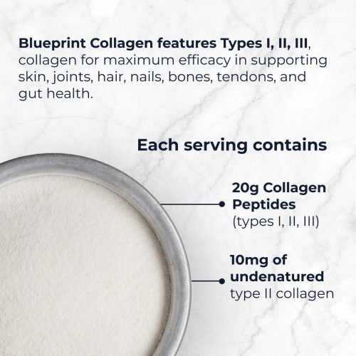 Collagen CallOuts 90fd91c2 925b 48ae a418 05e1431a3347