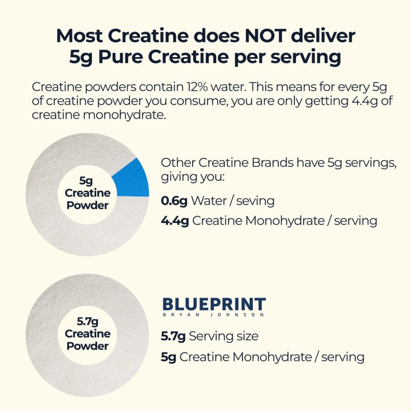 Creatine Comparison